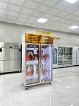 Tủ Sấy Vịt - Nóng - Lạnh - Hoàn Toàn Tự động