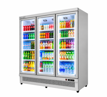 Tủ mát 2 3 cánh block dưới New