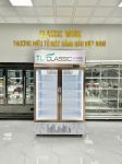 Tủ đông đứng 2 cánh kính có sấy kính điện