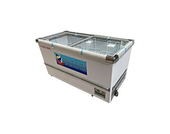 TỦ ĐÔNG TRƯNG BÀY MẶT KÍNH 1M6